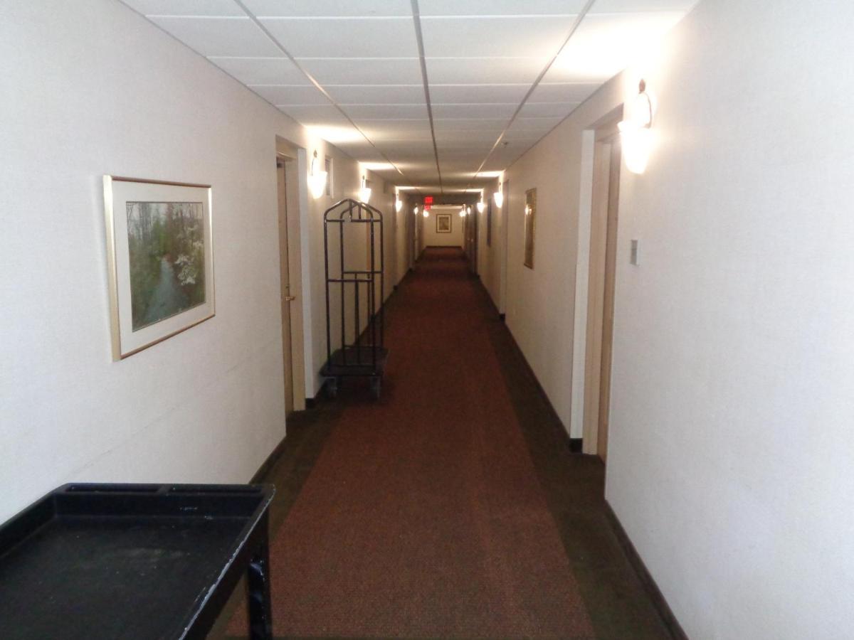 Riverview Suites Apartments Rochester Dış mekan fotoğraf
